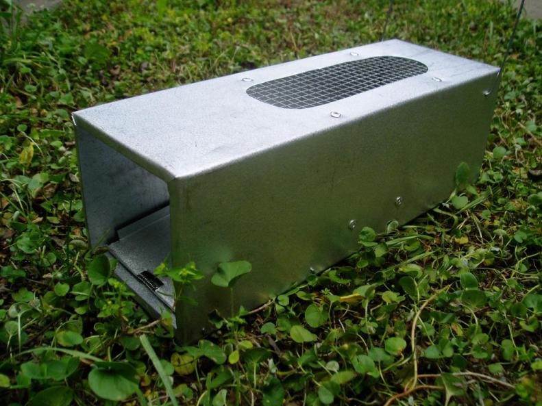 small product photo